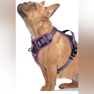 🐾 No Pull Dog Harness, M